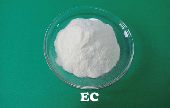 Ethyl cellulose (EG)