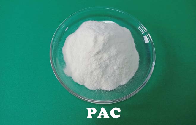 Poly anionische Cellulose (PAC)